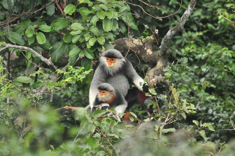 MARBLE MOUNTAINS AND MONKEY MOUNTAIN MORNING TOUR